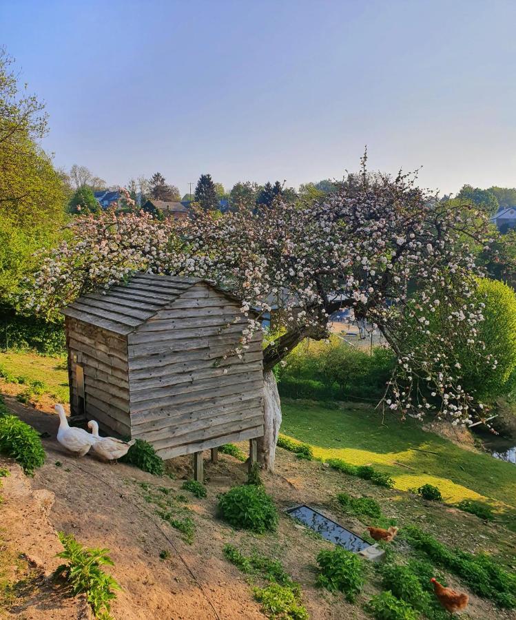 La Maison du Sabotier Custinne Extérieur photo